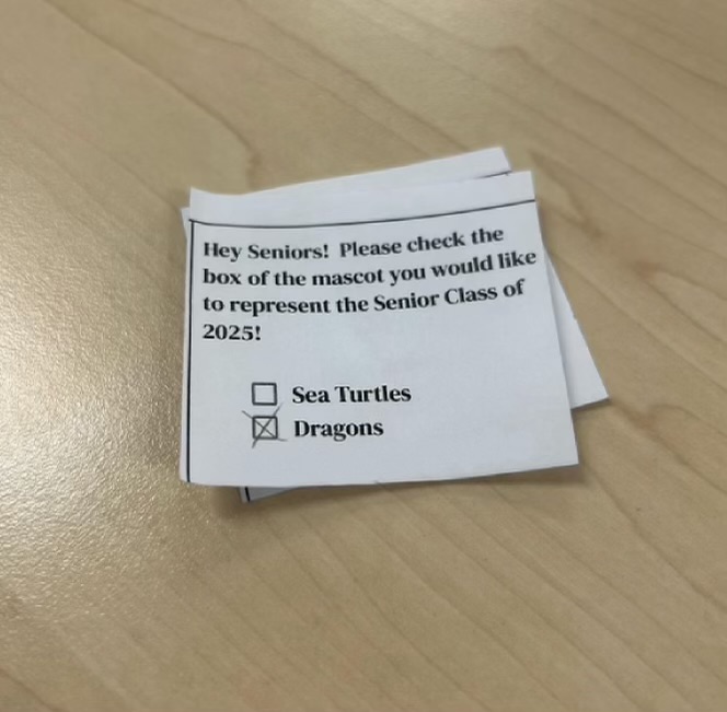 With the initial vote of the senior mascots having faced backlash, the battle between the sea turtles and the dragons experienced a revote. Ultimately, the mascot was revealed to be the senior dragons, but are students happy with this decision?